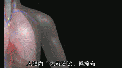 1.gif