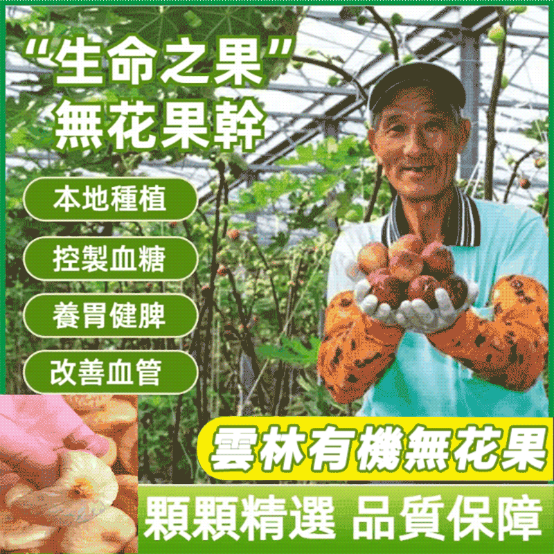 【台灣雲林頂級無花果乾】天然有機果王!  美容養顏、改善便秘、清熱生津、强健體質  抗癌抗瘤、降脂降壓、預防三高等多種功效 【台灣雲林頂級無花果乾】天然有機果王!  美容養顏、改善便秘、清熱生津、强健體質  抗癌抗瘤、降脂降壓、預防三高等多種功效